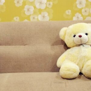teddy bear, toy, sofa-1853609.jpg